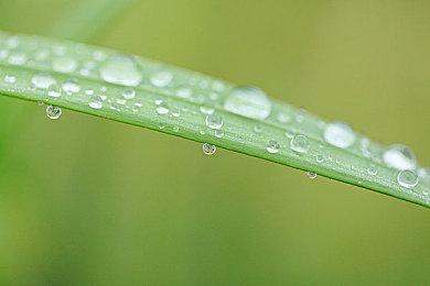 《罪恶装备：Strive》11月22日举办特别活动 或公布新角色